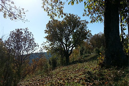 B&B Al Tetto Rosso