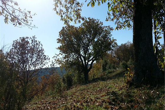B&B Al Tetto Rosso - photo 10