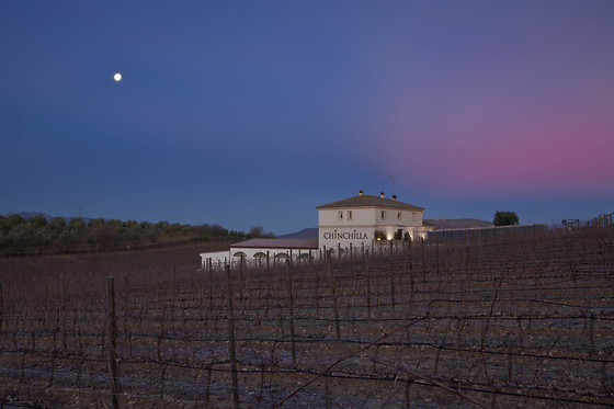 BODEGA DOÑA FELISA - photo 4