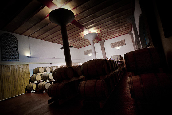 BODEGA DOÑA FELISA - photo 1