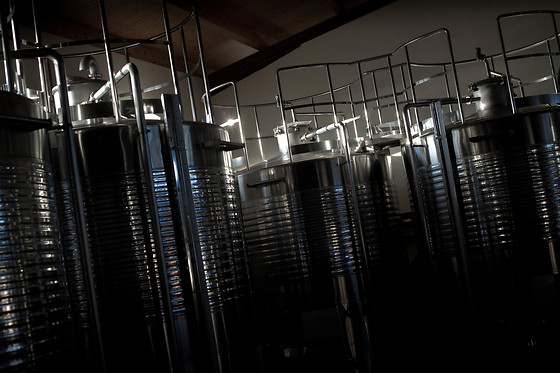 BODEGA DOÑA FELISA - photo 5