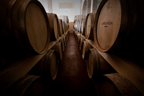 BODEGA DOÑA FELISA - photo 2