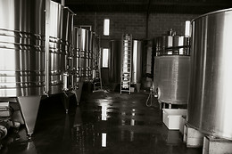 Oenanim
