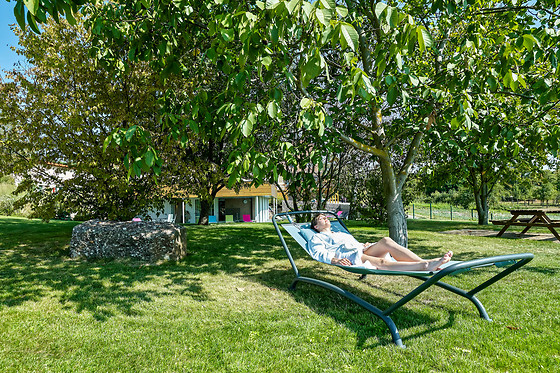 Hôtel du Bollenberg - photo 7
