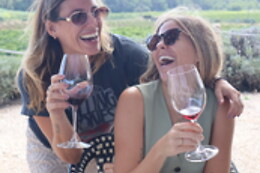 WINE STORIES