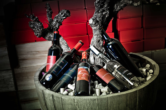 BODEGA DOÑA FELISA - photo 0