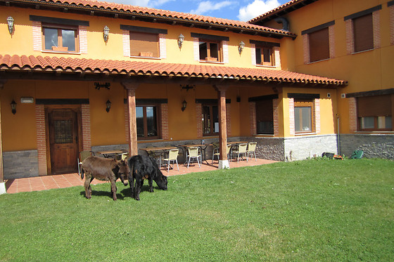 HOSPEDERIA LOS REALES - photo 0