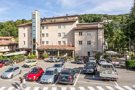 Falco D'Oro Hotel - photo 4