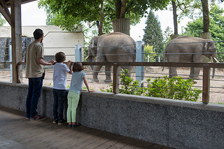 Entrée groupe au zoo - Parc zoologique de Maubeuge - Maubeuge (59)