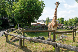 Entrée groupe au zoo - Parc zoologique de Maubeuge - Maubeuge (59)