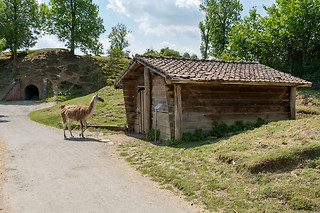 Entrée groupe au zoo - Parc zoologique de Maubeuge - Maubeuge (59)