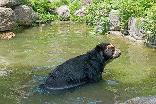 Entrée groupe au zoo - Parc zoologique de Maubeuge - Maubeuge (59)