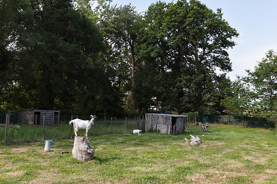 Le Domaine des Cygnes - photo 8