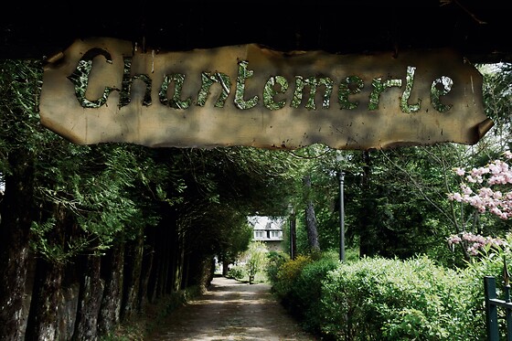 Le Manoir de Chantemerle - photo 10