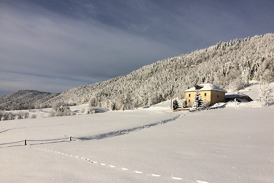 La Marténie - photo 3