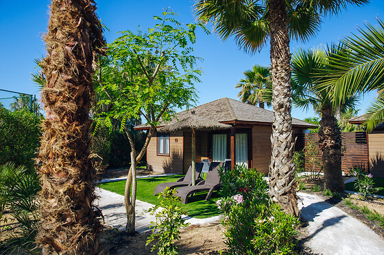 ALANNIA COSTA BLANCA - photo 11