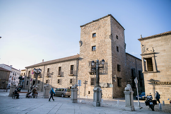 HOTEL PALACIO DE LOS VELADA - photo 8