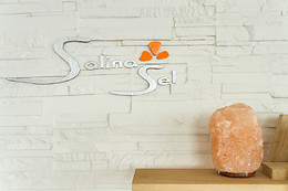 Salina sel