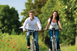 Sun E Bike