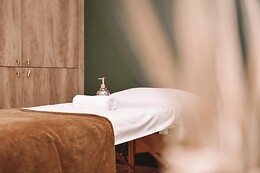Shaine Massage