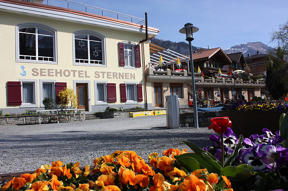 Seehotel Sternen Brienz - photo 5