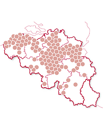 Typisch Belgisch