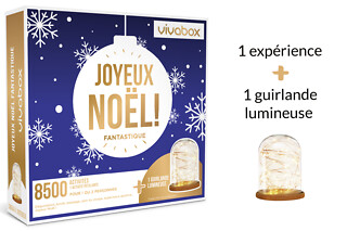 Joyeux Noël Fantastique