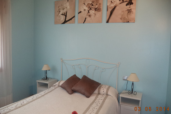 CASA PANO RIO - photo 8