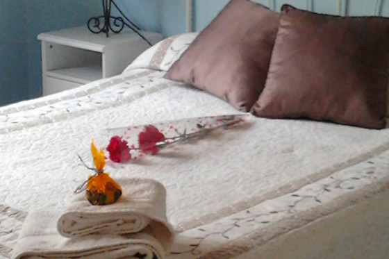 CASA PANO RIO - photo 10