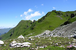Zucht- und Reitstall Gentinetta