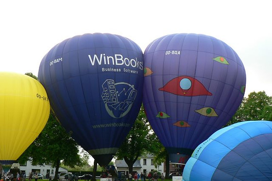 Vol en montgolfière - Pearl Balloon - Court-Saint-Etienne (Brabant wallon)