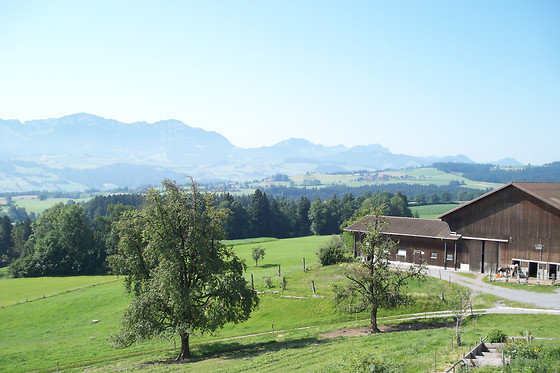 Bauernhof Huobschür - photo 2