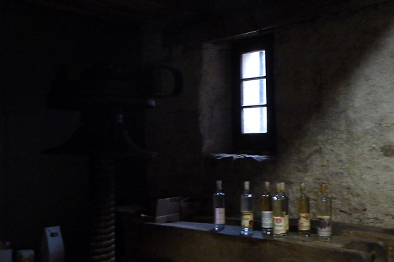 Domaine du Pampre - photo 7