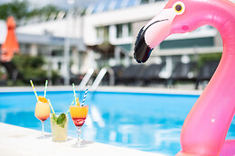 NOVOTEL EVRY COURCOURONNES