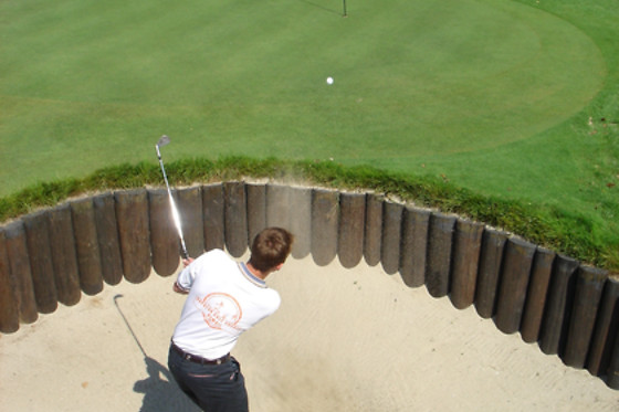 Sake Golf - photo 0