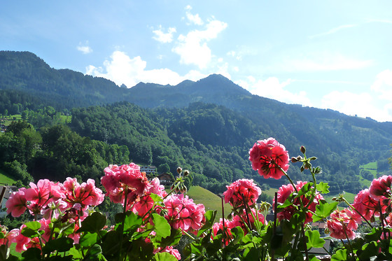 Knobelboden Hotel und Restaurant - photo 0