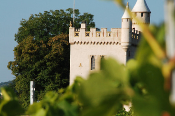Domaine du Pampre - photo 1