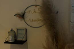 N&S studio