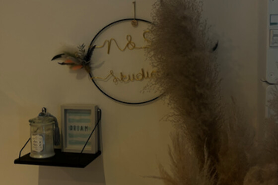 N&S studio - photo 5