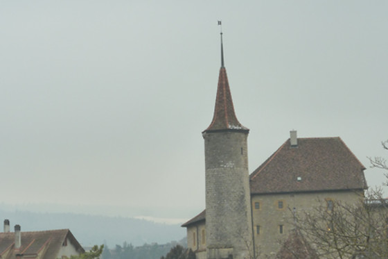 Domaine du Pampre - photo 9