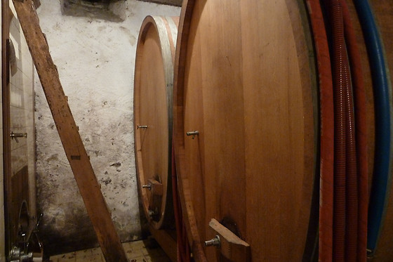 Domaine du Pampre - photo 10