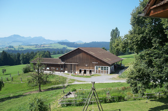 Bauernhof Huobschür - photo 0