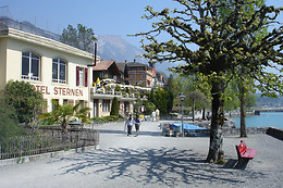 Seehotel Sternen Brienz
