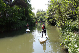 Een vaart met SUP voor 2 met Dijle Floats (regio Heverlee - Vlaams-Brabant)