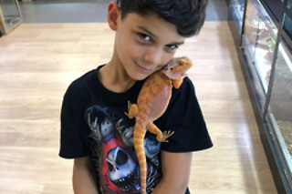 Een geleid bezoek aan de reptielen en dieren met voederen en verzorgen bij Mike's Repitpark (Doornik - Henegouwen)