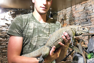 Een geleid bezoek aan de reptielen en dieren met voederen en verzorgen bij Mike's Repitpark (Doornik - Henegouwen)