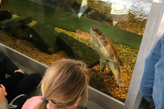 Een geleid bezoek aan de reptielen en dieren met voederen en verzorgen bij Mike's Repitpark (Doornik - Henegouwen)