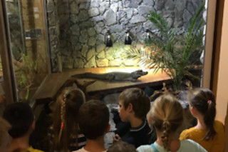 Een geleid bezoek aan de reptielen en dieren met voederen en verzorgen bij Mike's Repitpark (Doornik - Henegouwen)