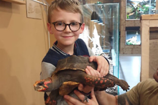 Een geleid bezoek aan de reptielen en dieren met voederen en verzorgen bij Mike's Repitpark (Doornik - Henegouwen)