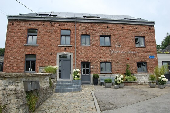 Online Booking EPS - photo 0